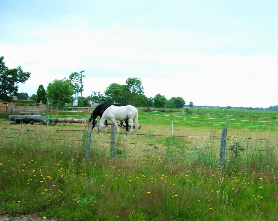 Hotel Riverview Country Park Forres Exterior foto
